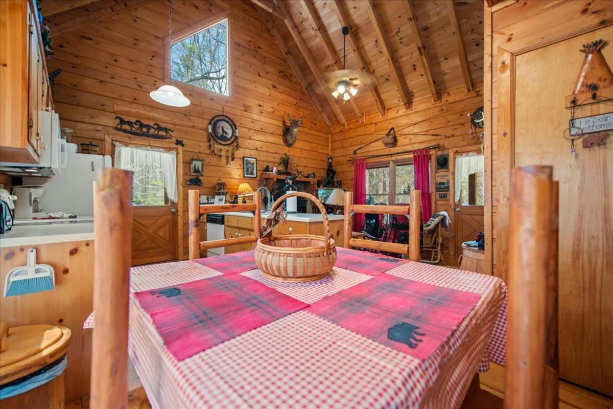 Cozy Cabin Beside Briar Creek, Fire Pit, Wifi Villa Ellijay Exterior foto