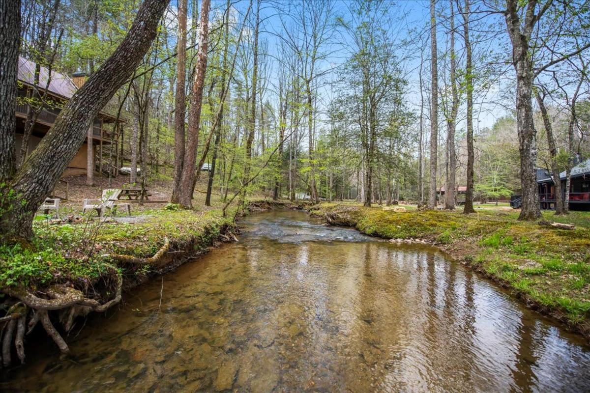 Cozy Cabin Beside Briar Creek, Fire Pit, Wifi Villa Ellijay Exterior foto